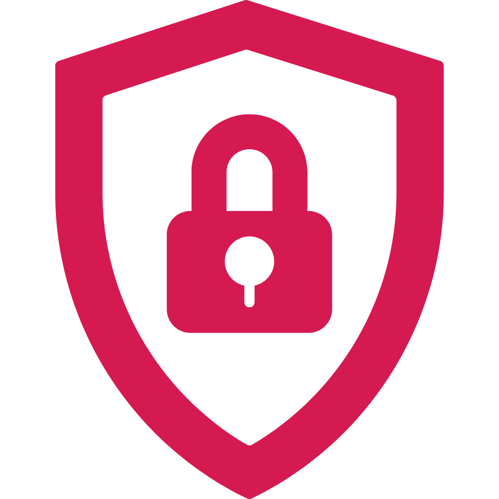 Cybersecurity Defense